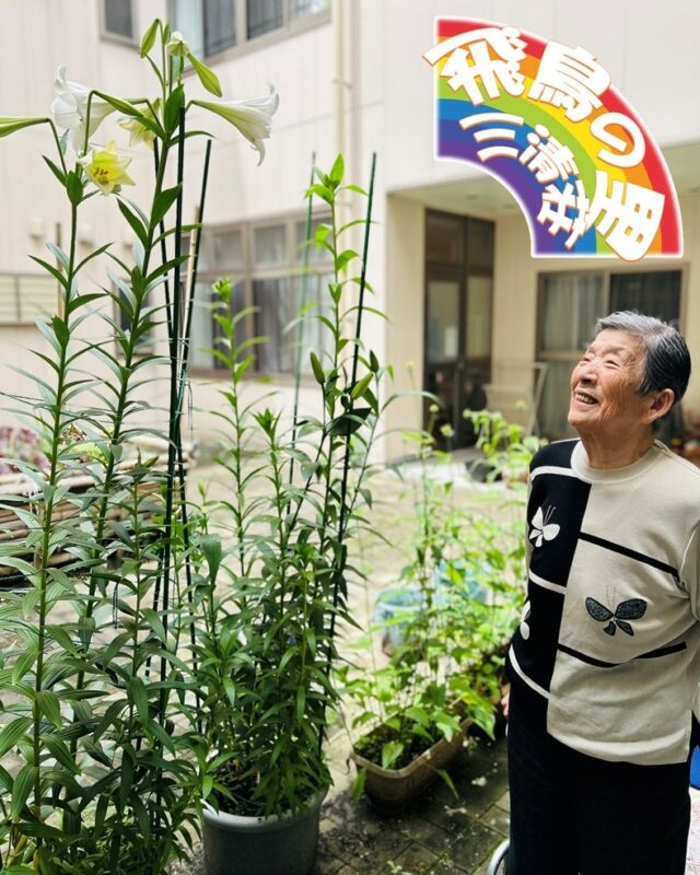 百合写真📸
次々蕾が開いています！
