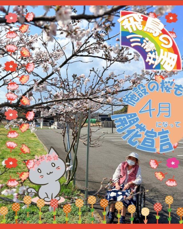 飛鳥の里でも「開花宣言🌸」
ブログにも先程写真を掲載しまいた。
@asukanosatosanseisou