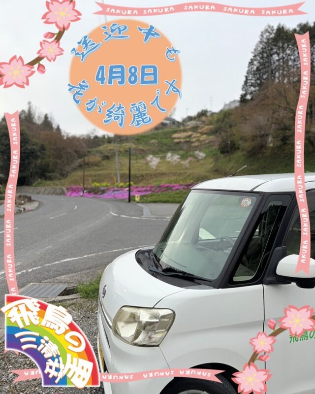 送迎の時に😳
花がとっても綺麗だったので📸
🌸🌸🌸