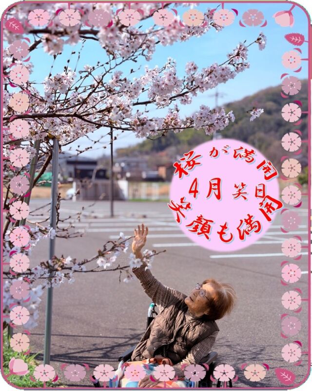 飛鳥の里の桜が満開🌸🌸
ブログも先程ＵＰしました。
そちらも是非ご覧ください。
@asukanosatosanseisou