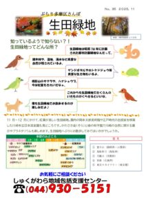 (裏）のサムネイル