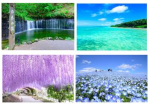 写真のサムネイル