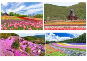北海道のサムネイル